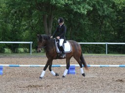 IMG_4809_web